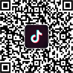抖音小程序